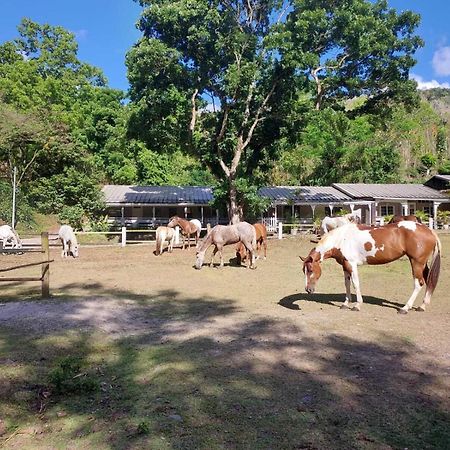 Villa Ranch Black Horse Les Trois-Ilets Exterior foto