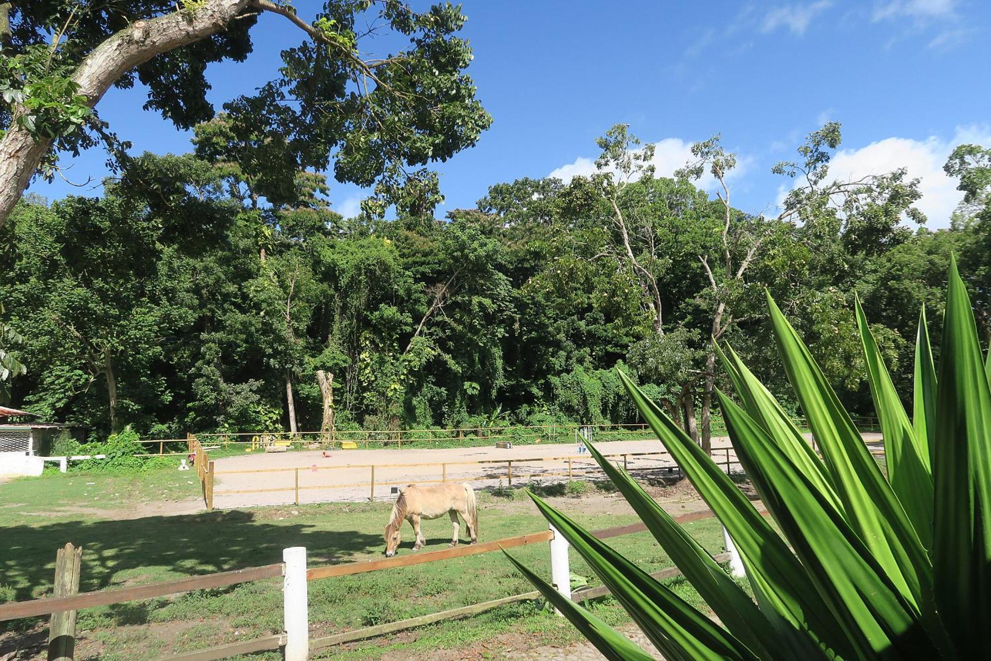 Villa Ranch Black Horse Les Trois-Ilets Exterior foto